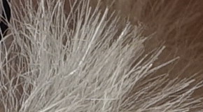 Sony Cyber-shot RX100 III (RX100M3): superSony