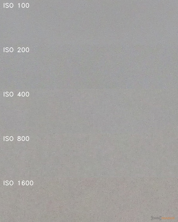 Canon PowerShot SX430 IS: milovník přírody