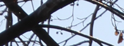 Megatest ultrazoomových objektivů