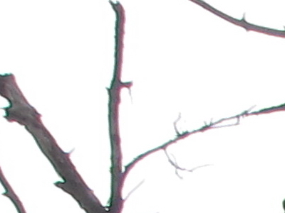 Canon PowerShot S90: malý zázrak