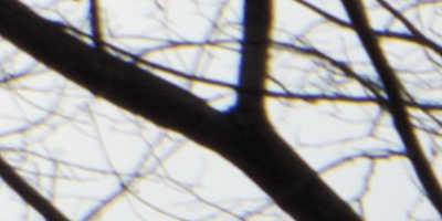 Fujifilm X-S1: jedinečný