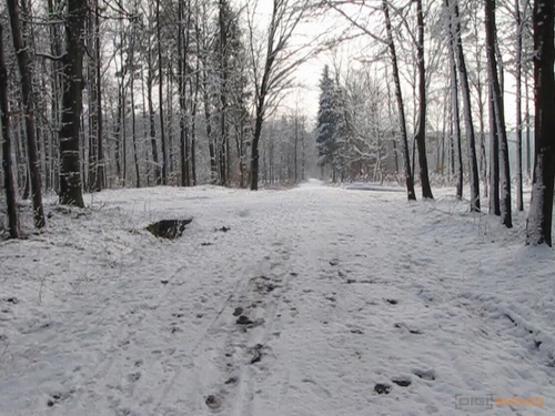 Canon PowerShot SX1 IS vs. SX10 IS: souboj CMOS a CCD