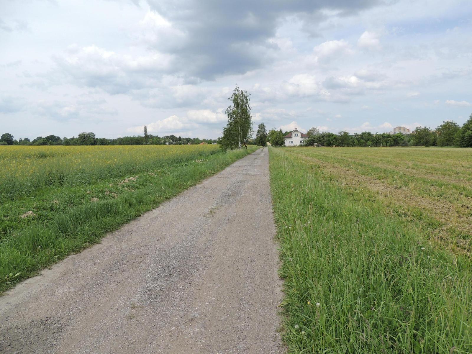 Nikon Coolpix P510: lovec rekordů