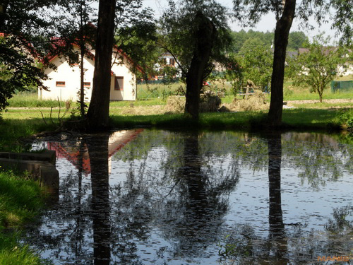 Samsung WB650: povedený cestovatel