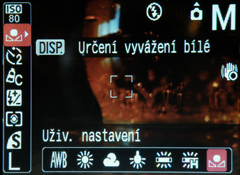 Canon PowerShot A590 IS: malý, ale šikovný