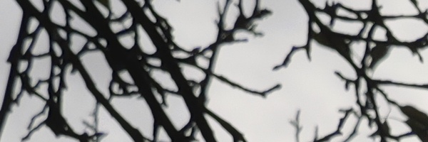 Panasonic Leica DG Vario-Elmarit 12-35mm / F2.8 ASPH. / Power O.I.S