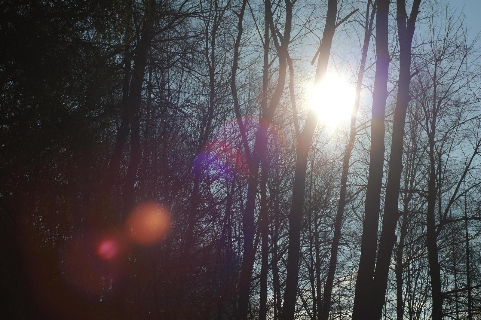 Olympus OM G.Zuiko 50mm f/1.4 "silver-nose"