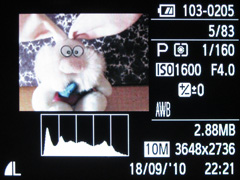 Canon A3000 IS vs. A3100 IS: souboj megapixelů