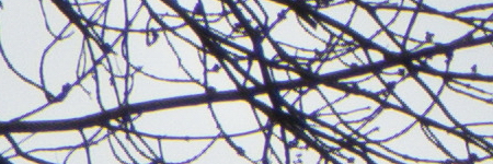 Panasonic Lumix TZ70: krůček k profi ultrazoomu