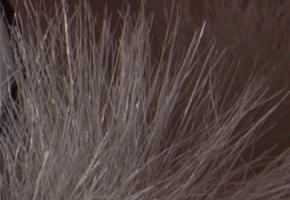 Nikon D600: vynikající vstup do světa full frame