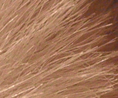 Olympus mju-7010: stylovka v růžovém