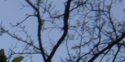 Nikon Coolpix A: velmi příjemná (ne)výraznost