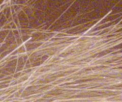 Panasonic Lumix FZ45 a FZ100: na vrcholu