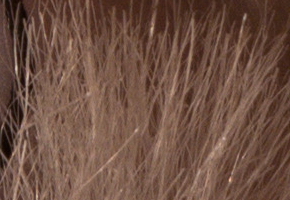 Samsung NX1000: sněhobílý bezdrát