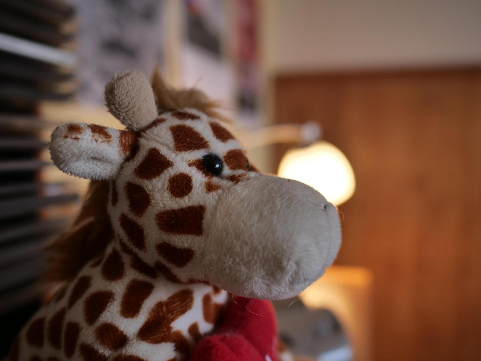 Panasonic Leica DG Summilux 15mm / F1.7 ASPH