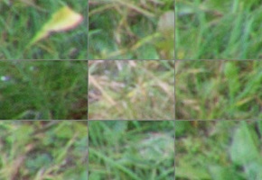 Nikon AF-P DX Nikkor 70-300 mm f/4,5-6,3G ED VR