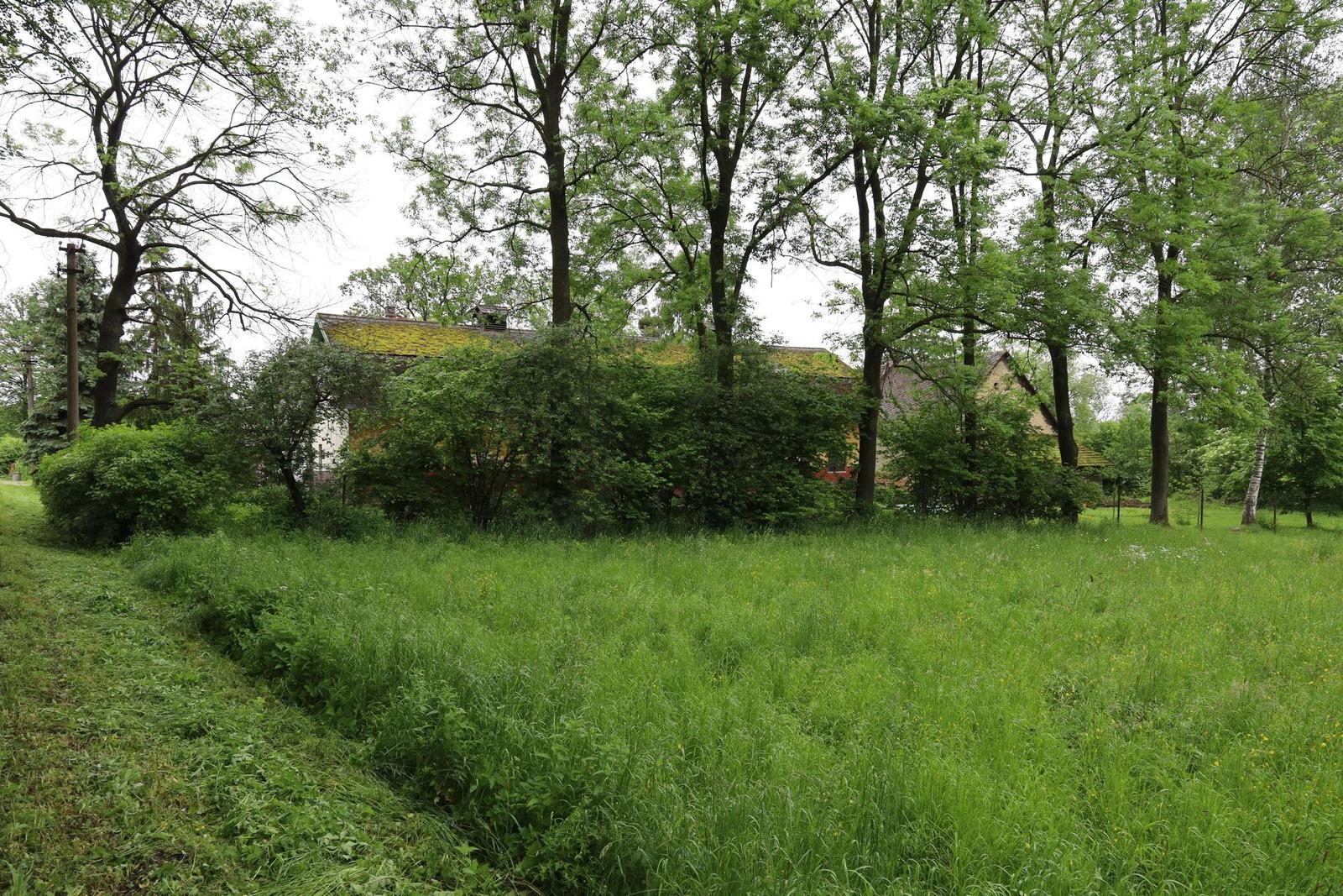 Canon EOS RP: levný full frame šikula