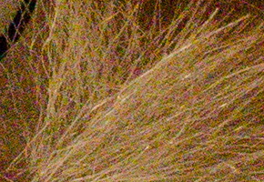 Nikon Coolpix A: velmi příjemná (ne)výraznost