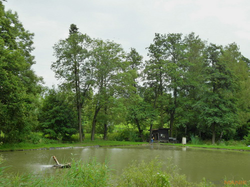 Samsung WB2000: stylová bomba