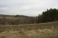 Casio Exilim Card EX-S600: Asijský plátek na fotografický způsob