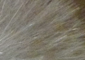 Samsung WB210: dotkněte se 21 milimetrů!