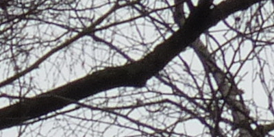 Panasonic Lumix FZ200: ultrazoomové překvapení roku