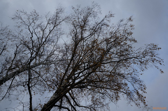 Sony NEX-5R: fázový posun k lepšímu?