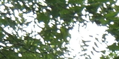 Samsung 18-55mm F3.5-5.6 OIS