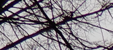 Nikon Coolpix A900: 4K do kapsy