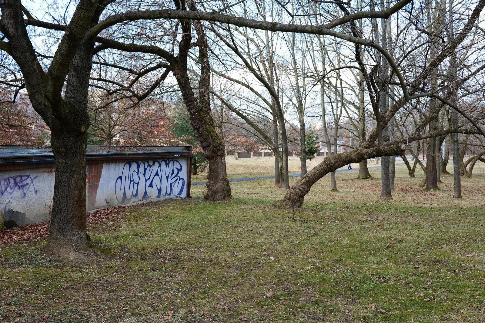 Panasonic Lumix S 35mm F1.8