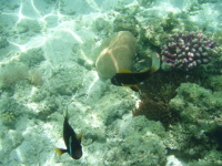 Modrý vesmír - tipy pro fotografování