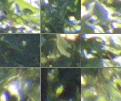 Fujifilm FinePix HS20EXR: důstojný nástupce