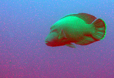 DSLR na cestě časem - 22. díl