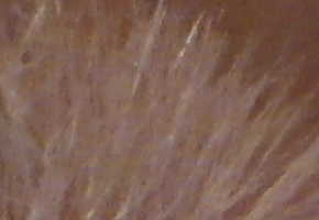 Samsung WB850F: fotící bezdrátová navigace?