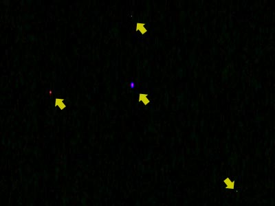 Tipy a triky nejen pro začátečníky, díl 11. - Prověření fotoaparátu po nákupu II.