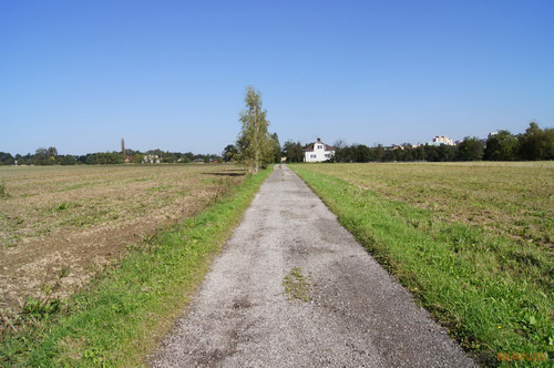 Sony SLT-A33: přesvědčivý revolucionář