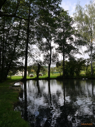 Panasonic Lumix G2: král ergonomie