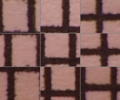 Olympus M.Zuiko Digital 40-150 mm F4-5,6 + nová R verze