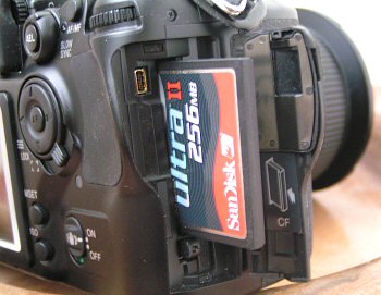 Dynax 7D: klidná síla