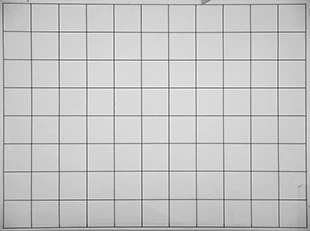 Panasonic Leica DG Vario-Elmarit 12-35mm / F2.8 ASPH. / Power O.I.S