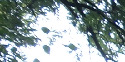 Sony Cyber-shot RX100: terminátor zrcadlovek