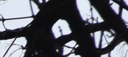 Nikon AF-S DX NIKKOR 16-85mm f/3.5-5.6G ED VR