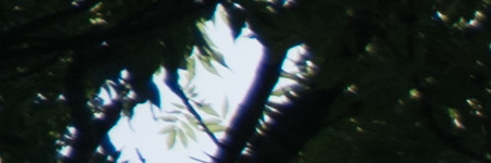 Sony E PZ 18-105mm F4 G OSS (SELP18105G)