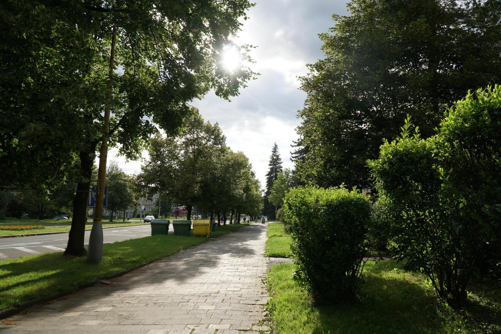 Sony E PZ 18-105mm F4 G OSS (SELP18105G)