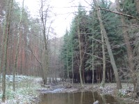 Panasonic Lumix DMC-LX1: 16:9 čip v premiéře