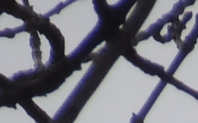 Sony Cyber-shot HX20V: umí snad všechno