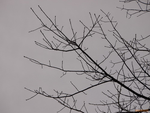 Olympus M.Zuiko Digital 40-150 mm F4-5,6 + nová R verze