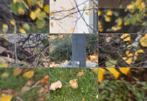 Panasonic Leica DG Vario-Elmarit 12-35mm / F2.8 ASPH. / Power O.I.S