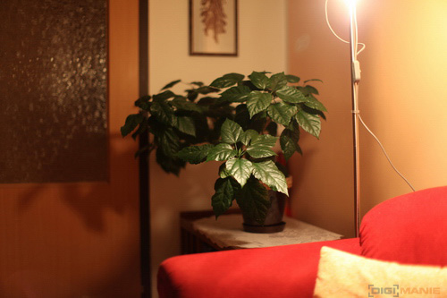 Srovnávací test pevných 50mm objektivů