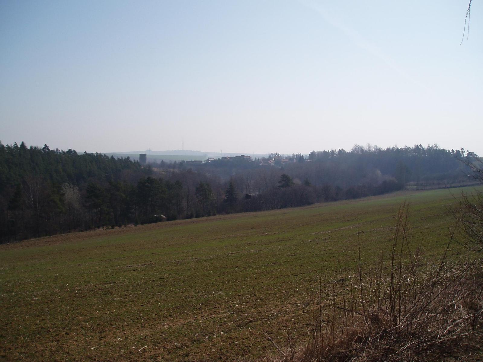 Olympus Camedia C-470 Zoom: Americký D-590